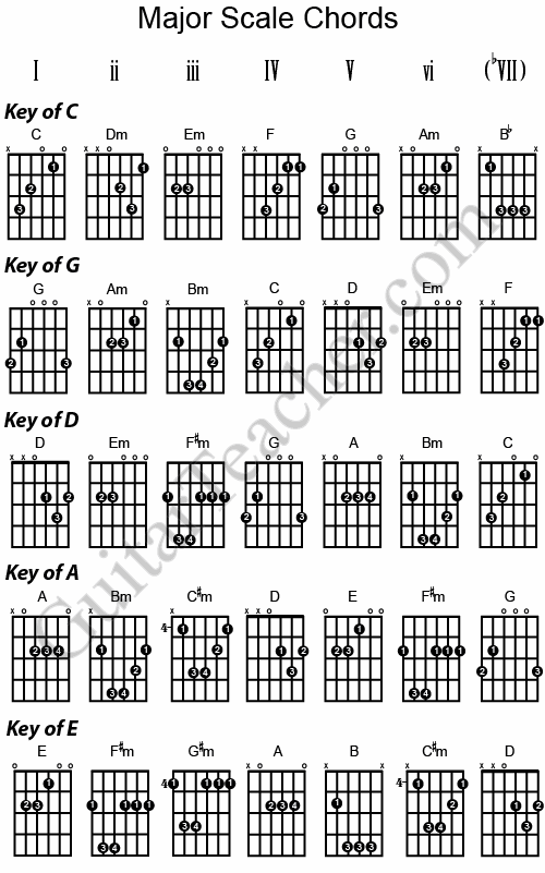101 Blues Patterns Bass Guitar Pdf Download